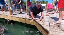 男子站在鱼池中，手动喂养鱼群，隔着屏幕都觉得头皮发麻