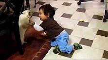宝宝打猫咪，猫咪就这么轻轻的还手怕伤到宝宝，好暧