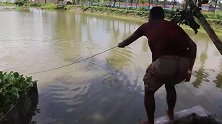 农村人撒网打鱼，随便一网下去，结果捕获多条新鲜美味的大鱼！