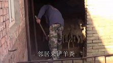 秋耕大黑和邻居愁啥？午饭大烩菜蘸糕，一口一块咕噜下肚真过瘾！