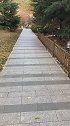 男人是家里的顶梁柱