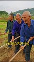 六个大爷活了七八十岁，没想晚年成为网红。他们说，只要大家不嫌弃他们老，不嫌弃他们土，会认真展现农村老人快乐！