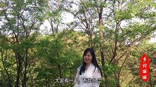 丽丽在黄土高原的沟里钩洋槐花，花香扑鼻，生活因此而美好