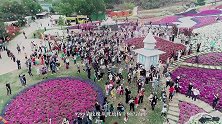 5·20  在成都漫花庄园“为爱踏出第一步”
