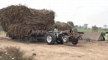 大件运输车都没你这么硬气，拖拉机在印度真是开挂了！
