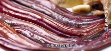 广东人的“蛇锅”“蠄蚷锅”打边炉里的佛跳墙，一口入喉回味悠长
