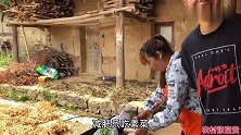 姑姑回娘家摘金银花，亲自下厨煮饭炒菜，都说这姑姑真好！