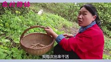 家里来客，胖妹五点就起床做午饭，只为给大洋面子，两口子真恩爱