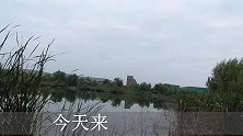 采用矶竿滑漂钓鱼，麦粒打窝，玉米粒守钓鲤鱼、草鱼上条鲫鱼真丑