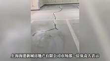 上海浦东一单价6.5万元的小区出现1431条裂缝，主们慌了