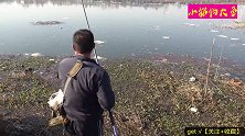 长竿短线七星漂，一人一杆一蚯蚓，野生大鲫钓不停
