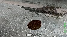 金毛用万能胶把拖鞋粘在地上，让小伙狠狠地摔了一跤，真是太疼了