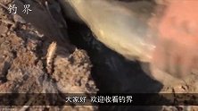 老大爷在下水道洞里钓鱼被嘲笑，30秒后啪啪打脸了！
