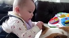 好奇宝宝摸了摸狗耳朵，惊讶的表情，原来是这种手感呀！