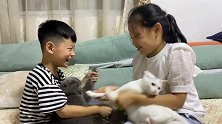 媳妇网购40只大闸蟹，开箱发现不对劲，打开之后直接退货