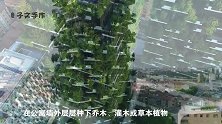 3种不同寻常的房屋，原来房子还能这样建，给设计师的脑洞跪了