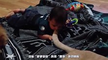 5个月宝宝用“婴语”和狗狗吵架，接下来的画面，爸妈都哭笑不得