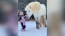 小女孩跟这匹马的关系真是好啊，轻轻地抚摸，太有爱了！