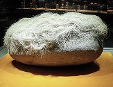 云南老人捡到一块“怪石头”，表面长满白发，专家看后变了脸色！
