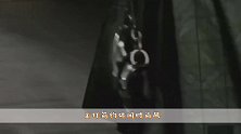 觉得自己衣品太差学学刘雯这3套穿搭，第二套太胖的女生别穿