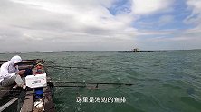 海边的鱼排钓鱼，饵料用“小虫子”，看看上了些什么鱼