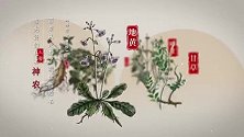 《古典医籍里看中国》今日上线：让中医药文化“活”起来