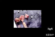 感受下伦敦街头小吃，有没有和你意的！