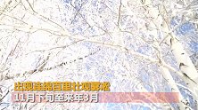 帧帧如画！新疆现百里雾凇恰若冰雪童话世界