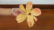 才知道，石榴皮是个“宝”，用途太棒了，解决了生活中的麻烦事