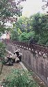 钓鱼我见过，钓熊猫我还是第一次见！