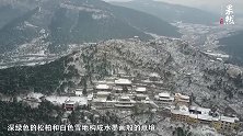 果然视频丨雪后千佛山如画卷，黑白墨绿错落有致