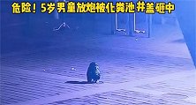 男童往化粪池扔炮被井盖砸骨裂
