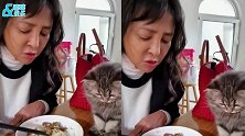老戏骨李勤勤太接地气了，餐食简单， 和猫咪同用筷子引热议