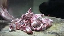 黄小妹教你椒盐排骨的家常做法，步骤简单，吃一口停不下来！