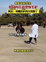 陕西榆林：兽医专业学生校园内狂追受惊毛驴