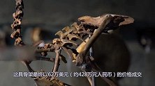 渡渡鸟骨架拍出了400万的高价，因为人类而灭绝，真的可惜了