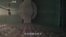 为了灭蚊而引进，现已泛滥成灾，它到底是“英雄”还是“祸害”