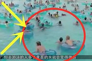 公共泳池里有多少尿液？老外做了个实验，看完你还敢去吗？