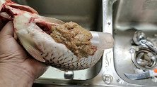 鲤鱼的鱼鳞和鱼籽常被丢弃，我却拿它当宝，做下酒的神菜