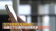 数十万只家用摄像头遭破解 你家的摄像头账号50元一个起售