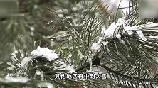 河北发布暴雪黄色预警-沧州、衡水、邢台、邯郸等地局地有大暴雪