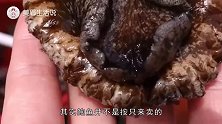 第一次吃鲍鱼，被问要几头时，想好再说，一个不小心就丢人了
