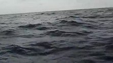 海钓马林鱼，上钩后7人10次轮换钓了将近6小时，最终断线了！