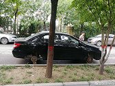 现在汽车很少被偷了，是偷车贼都金盆洗手了吗？原来是这个原因