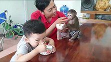 看见水果糖水的小猴子，小手还时不时抬起，看到目的忍不住笑了