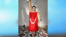 倪妮明眸皓齿精致优雅女神高贵气质红裙动人