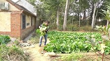 农村姑娘连续两天丢白菜，第三天化妆成稻草人捉贼，太有才了