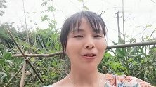 父母已苍老，女儿却不能陪伴，二十年第一次陪爸妈过节！无奈！