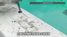 成都男子凌晨朝泳池投掷酱油、火锅底料，泳池秒变“麻辣汤底”，场馆回应