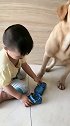 带娃的狗子真不容易
